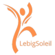 logo lebigsoleil