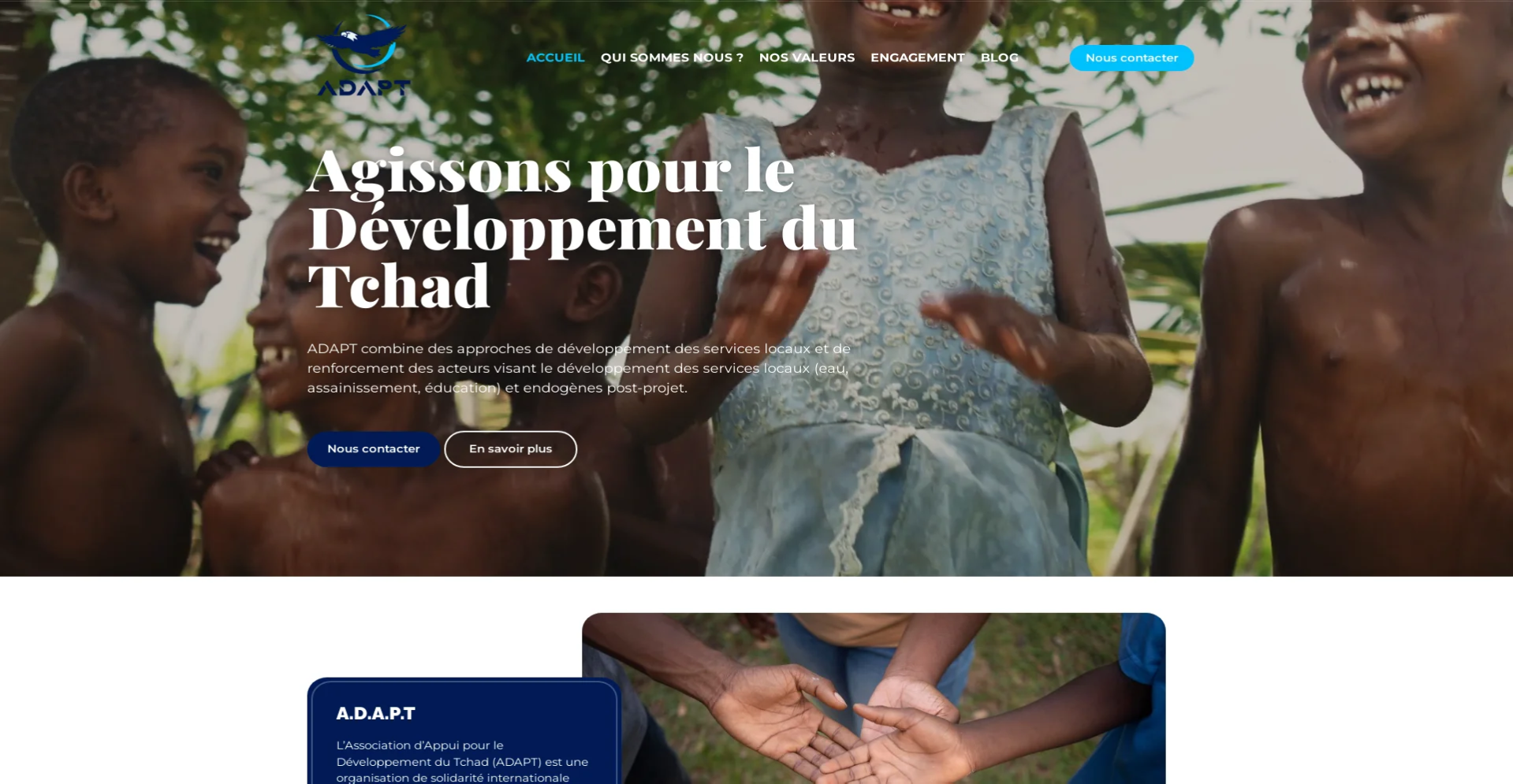 adapt.webp (1)